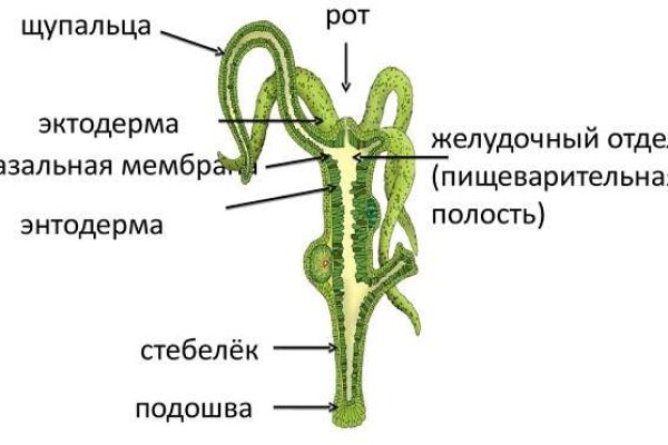 Kraken darknet market зеркало